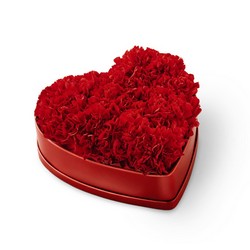 Heartfelt Carnation Box from Visser's Florist and Greenhouses in Anaheim, CA